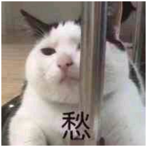 中国唯一一次黑毛时装秀
